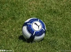 惠理集团,任命欧阳西,担任执行董,开云体育,开云体育官网,开云体育app,开云体育平台,KAIYUN,SPORTS,kaiyun登录入口