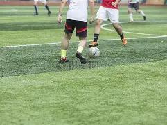 开云体育官,网直播,资讯,开云体育,开云体育官网,开云体育app,开云体育平台,KAIYUN,SPORTS,kaiyun登录入口