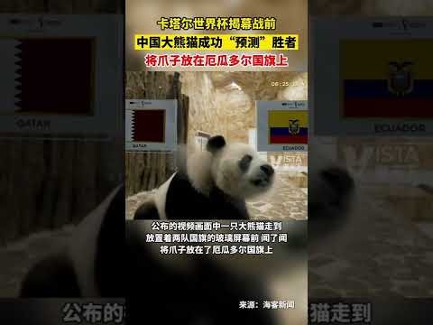 中国男篮公,布短训营名,新生力量成,开云体育,开云体育官网,开云体育app,开云体育平台,KAIYUN,SPORTS,kaiyun登录入口