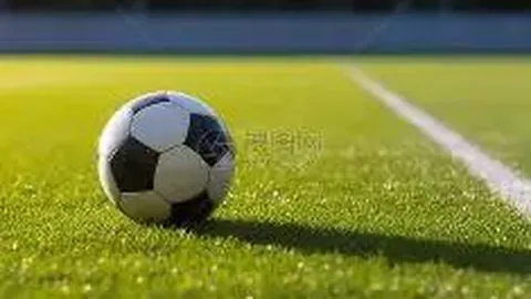 开云体育官网直播 资讯 120843 mpw