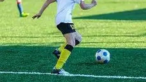 汤杰、赖益烨领队，上海玄天鸟NBL新军球员阵容揭晓