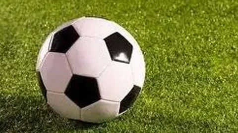 开云体育官网直播 资讯 102908 wml