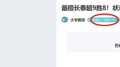 英超利兹联罚金53万镑解析：迟到经济学探秘