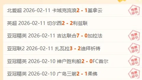 周六026法甲赛事分析：里尔对决尼斯专家推荐